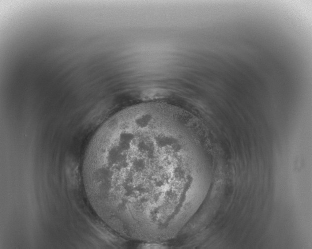 X0000067470327200604142357