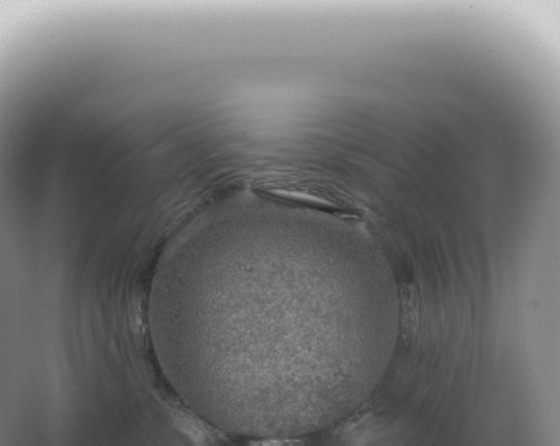 X0000067470331200604142357