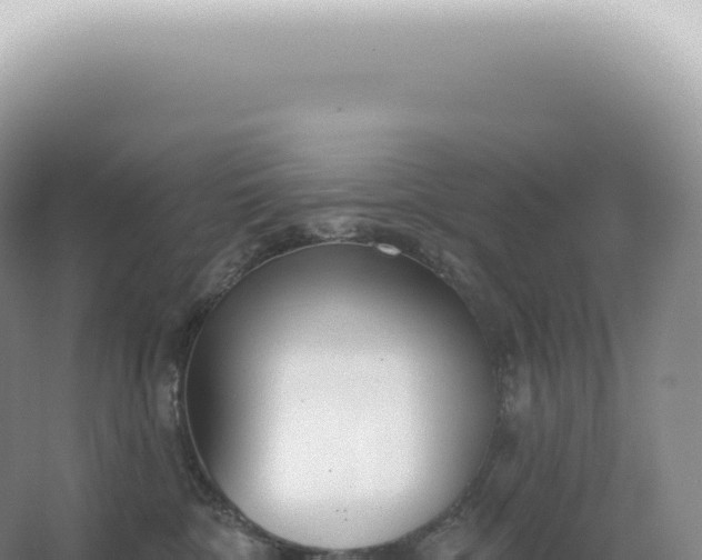 X0000067470332200604142357