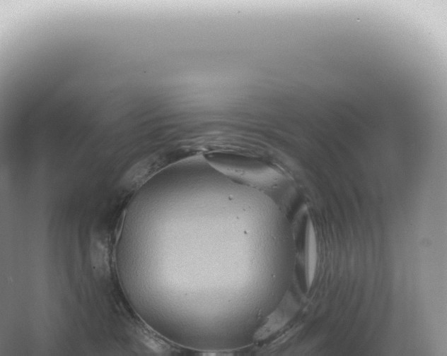 X0000067470333200604142357