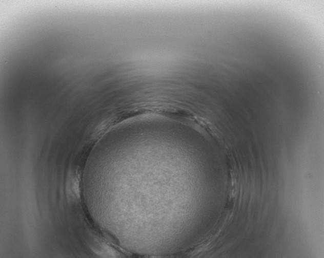 X0000067470334200604142357