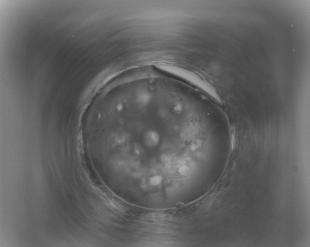 X0000067470339200604142356