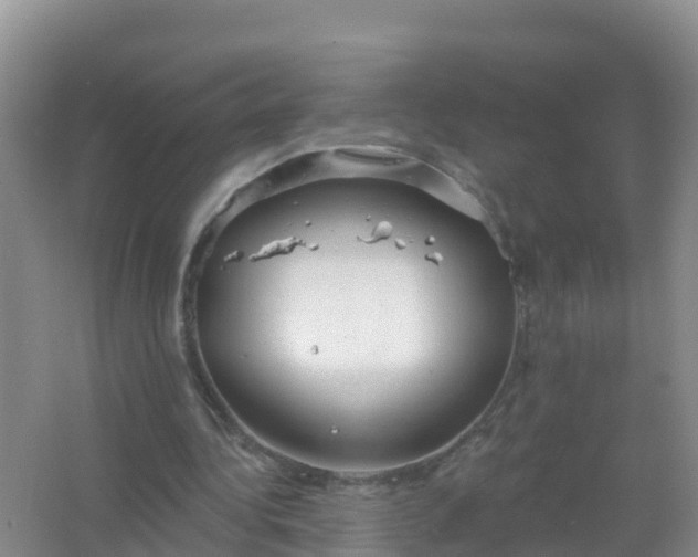 X0000067470340200604142356