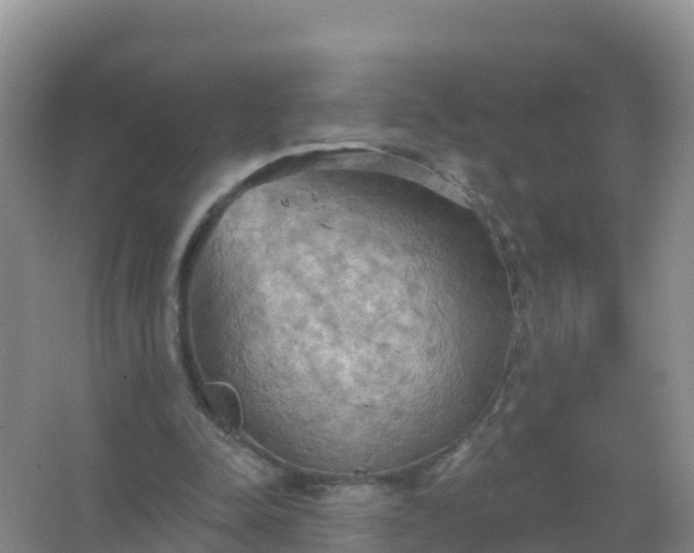 X0000067470342200604142356