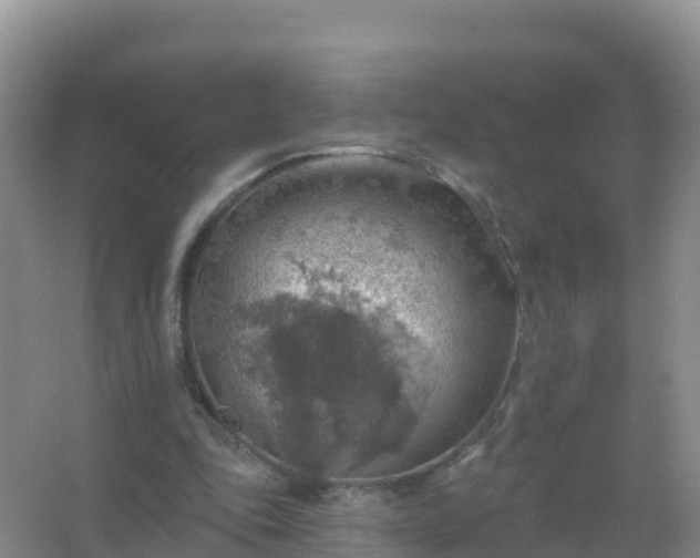 X0000067470343200604142356