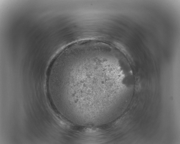 X0000067470346200604142356