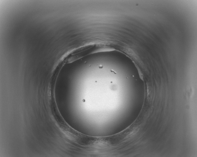 X0000067470348200604142356