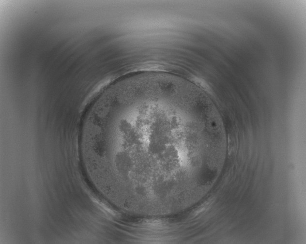 X0000067470349200604142356