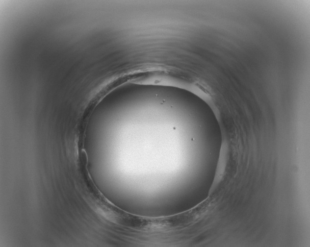 X0000067470350200604142356