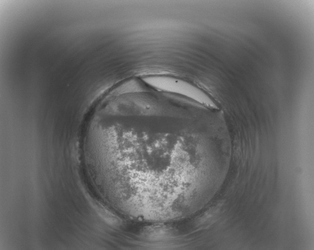 X0000067470351200604142356