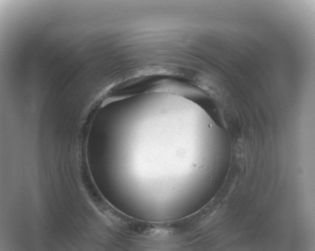 X0000067470352200604142356