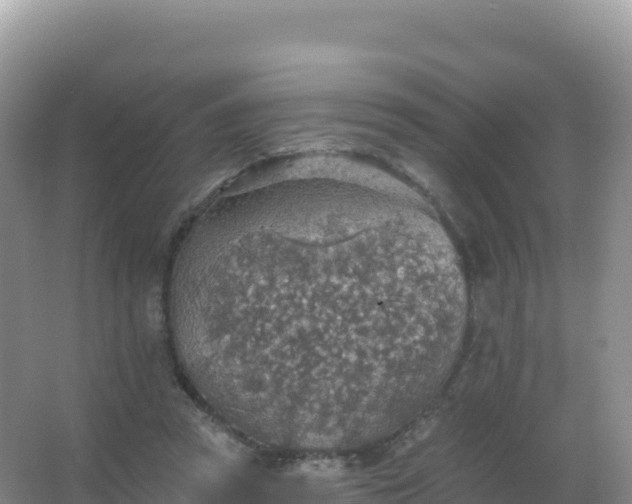 X0000067470353200604142356