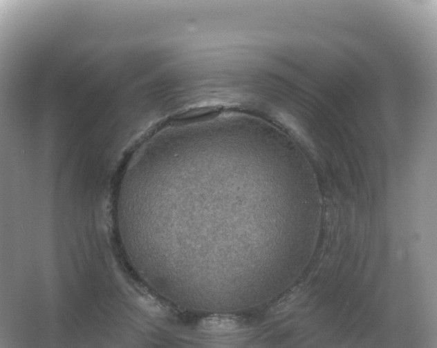 X0000067470354200604142356