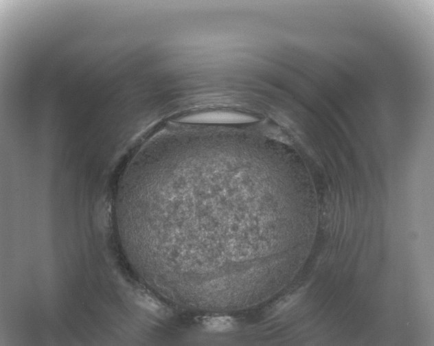 X0000067470355200604142356