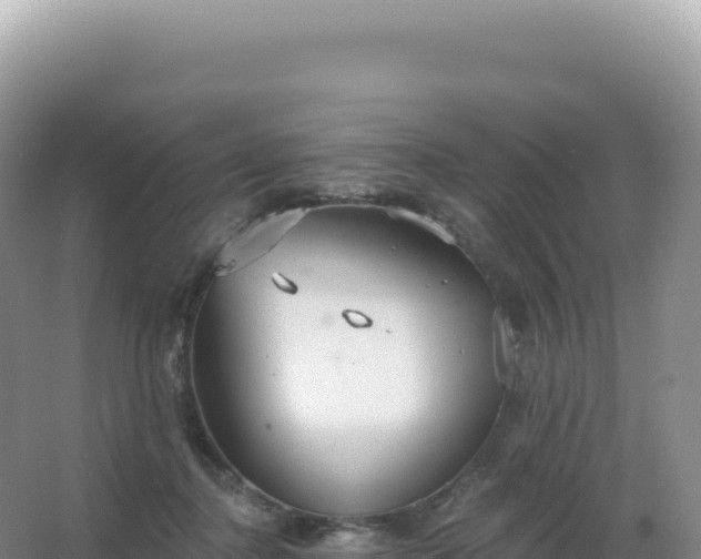 X0000067470364200604142356