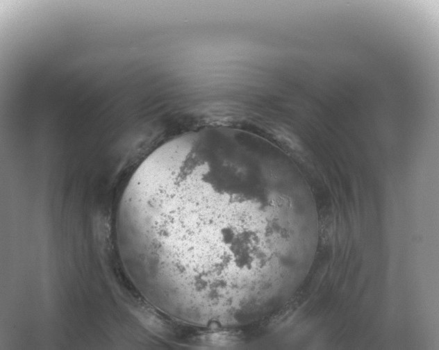 X0000067470365200604142356