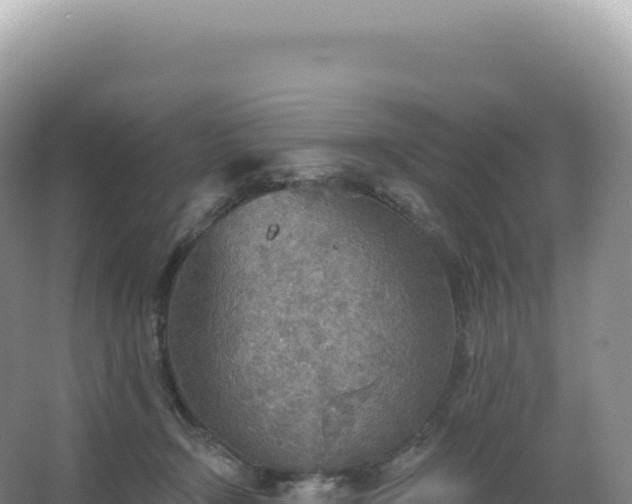 X0000067470366200604142356