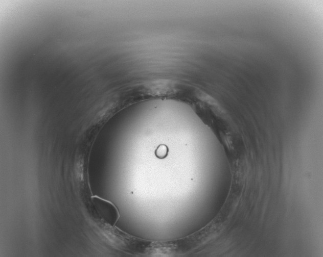 X0000067470368200604142356