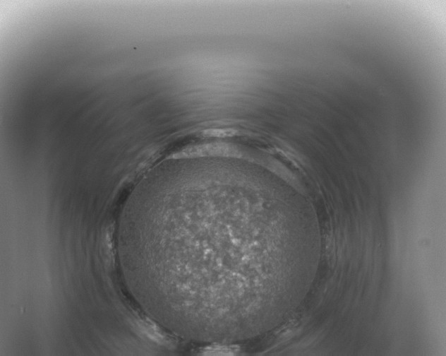 X0000067470373200604142356