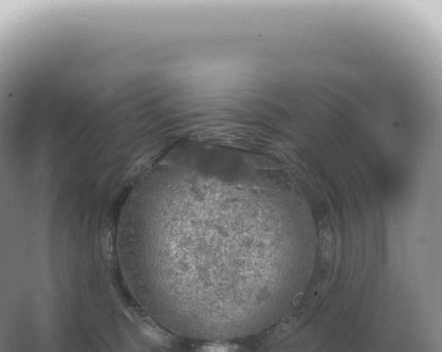 X0000067470375200604142356