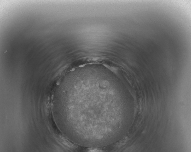 X0000067470376200604142356