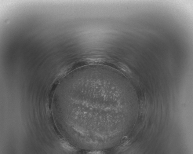 X0000067470377200604142356