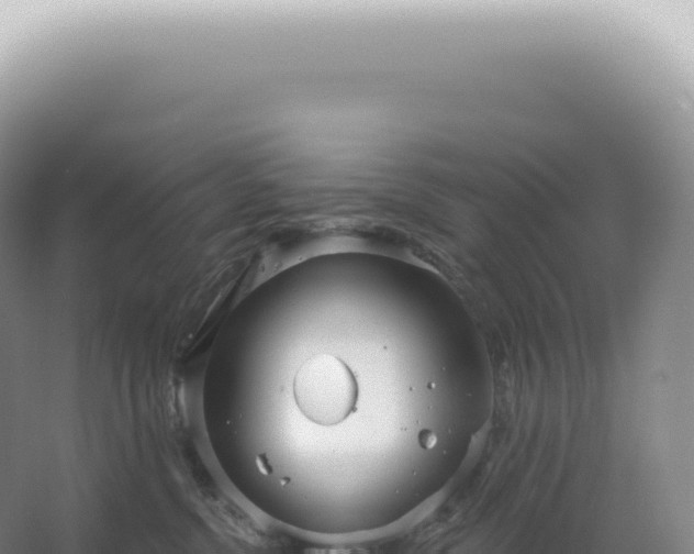 X0000067470380200604142356