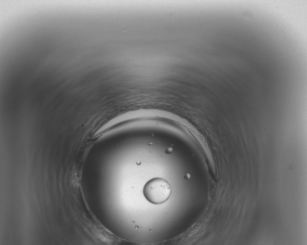 X0000067470384200604142357