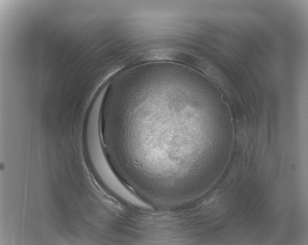 X0000067470386200604142356