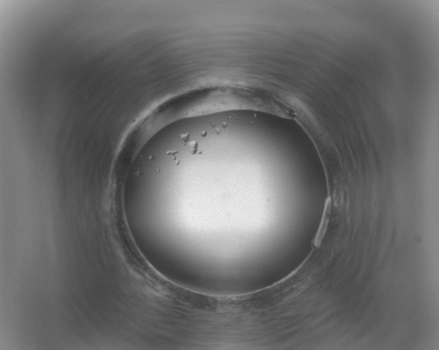 X0000067470388200604142356