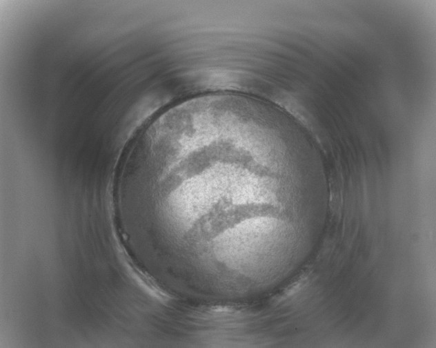 X0000067470390200604142356