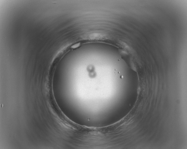 X0000067470392200604142356