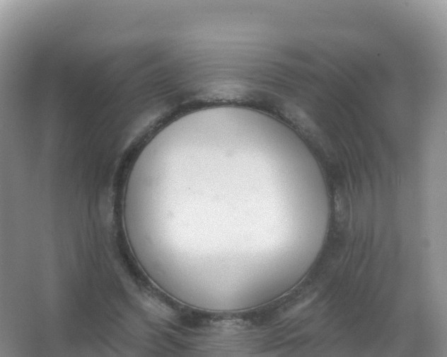 X0000067470396200604142356