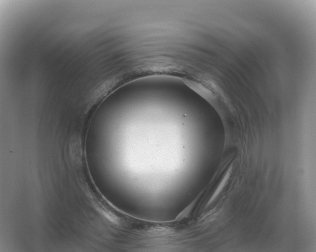 X0000067470397200604142356