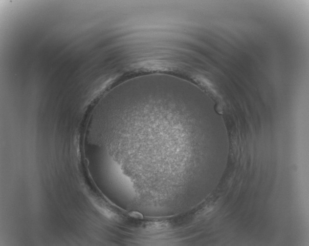 X0000067470398200604142356