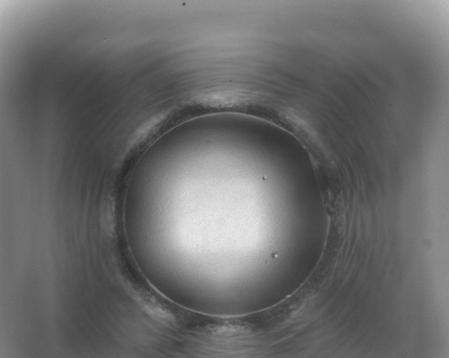 X0000067470400200604142355