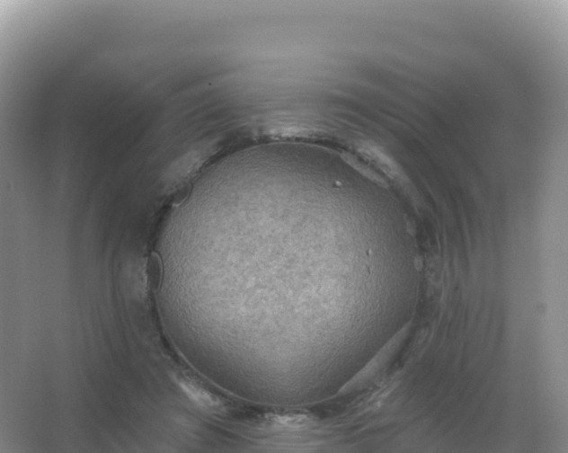 X0000067470401200604142355