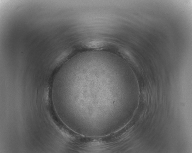 X0000067470404200604142355