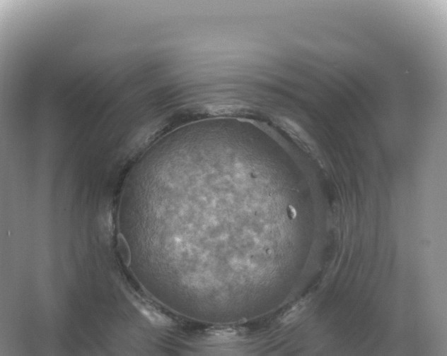 X0000067470405200604142355