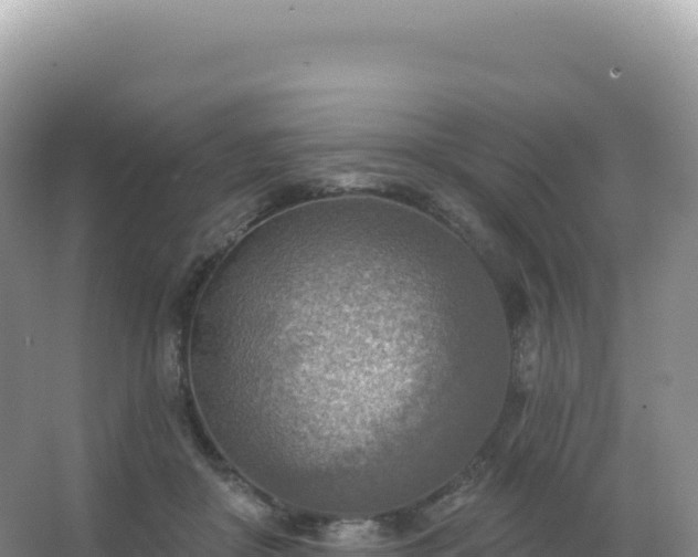 X0000067470410200604142355