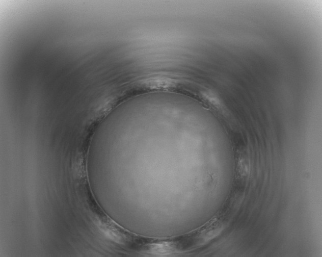 X0000067470411200604142355