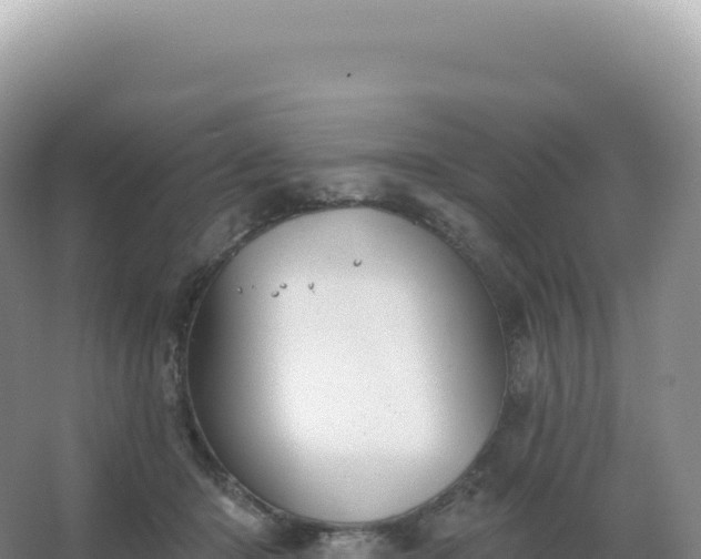 X0000067470414200604142355