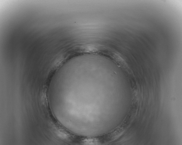 X0000067470415200604142355