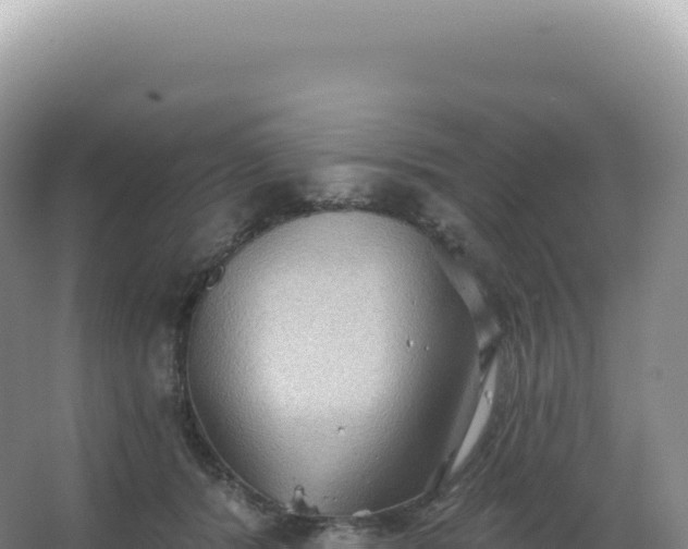 X0000067470416200604142355