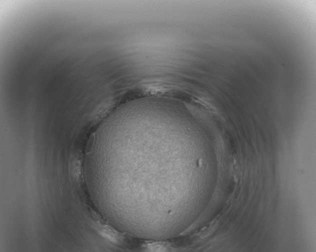 X0000067470417200604142355