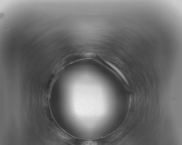 X0000067470421200604142355