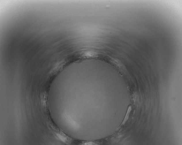 X0000067470423200604142355