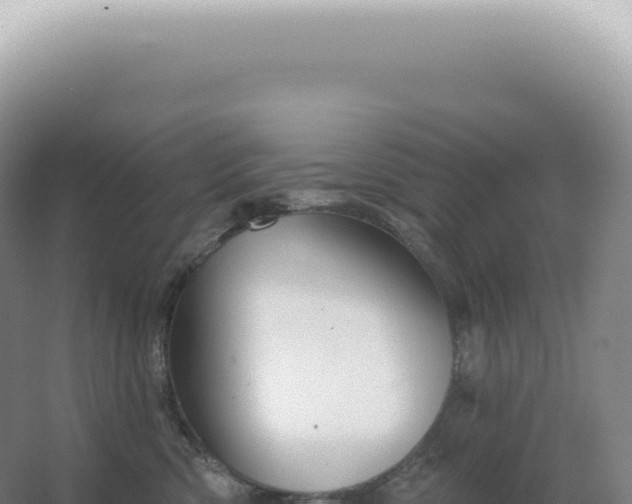 X0000067470426200604142355