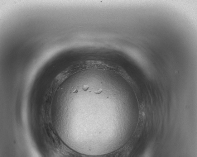 X0000067470431200604142355