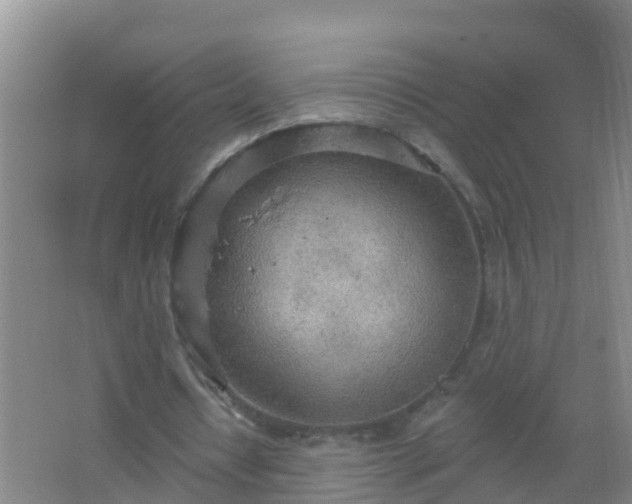 X0000067470434200604142354